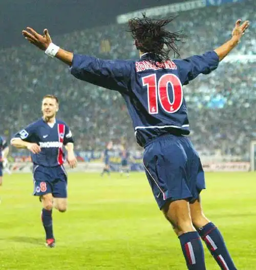 灰狼无疑将 灰狼无疑将